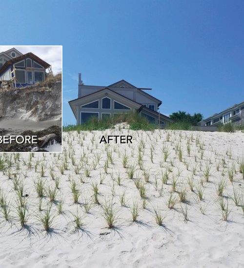 Coastal Dune Repair & Restoration