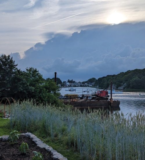 Single Family Waterfront Image Credit: Essex Horticulture